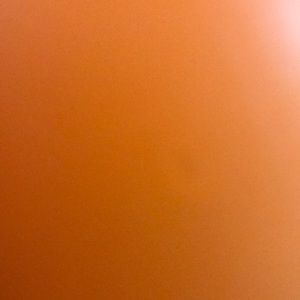 Meet your Posher, Michele